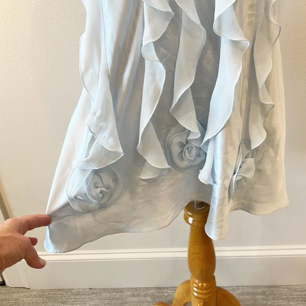 NWT Flora Nikrooz Chiffon Ruffle Chemise